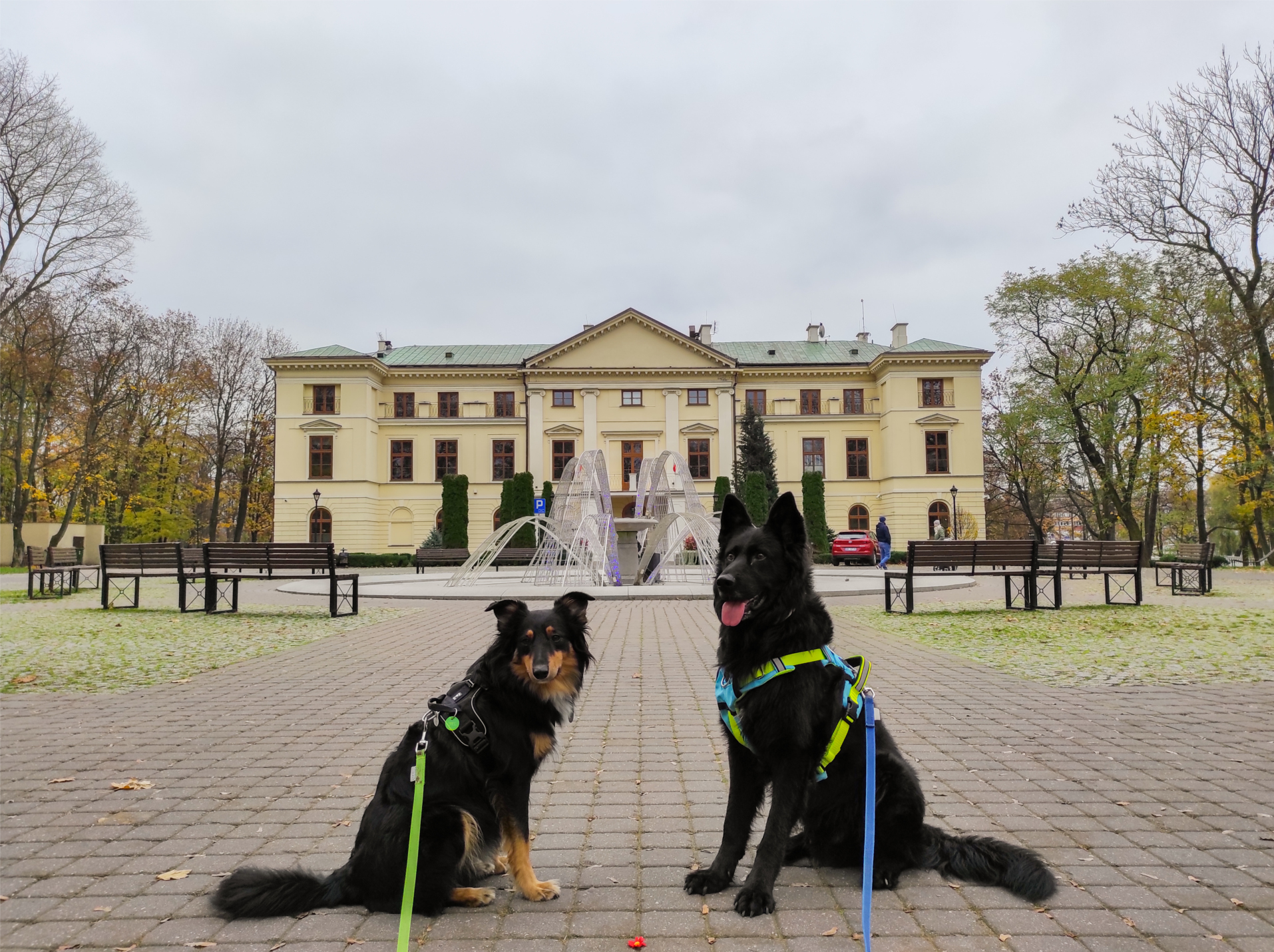 Mińsk Mazowiecki, Rezerwat Przyrody Bagno Pogorzel